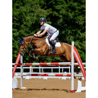 Tapis LeMieux de competição close contact square - algodão Branco
