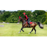 Tapete LeMieux Reflective Suede Close Contact Square Azul-marinho