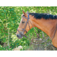 Gogue clássico T de T Havana escuro Castanho Gogue clássico T de T Havana escuro Castanho