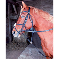 Gogue clássico T de T Preto