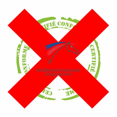 Protetores de boleto com concha e couro T de T Protetores de boleto com concha e couro T de T