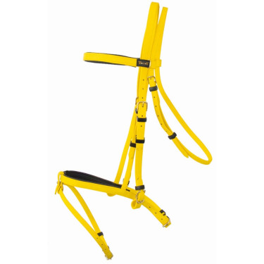 Trensenzaum Biotack® T de T Amarelo