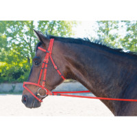 Trensenzaum Biotack® T de T Vermelho