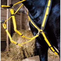 Peitoral Biotack T de T Amarelo