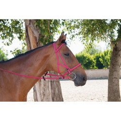 Bridão cabresto Biotack® T de T Fúcsia Rosa Bridão cabresto Biotack® T de T Fúcsia Rosa