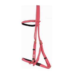 Bridão cabresto Biotack® T de T Rosa Bridão cabresto Biotack® T de T Rosa