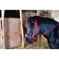 Bridão cabresto Biotack® T de T Vermelho
