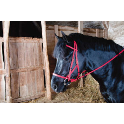 Bridão cabresto Biotack® T de T Vermelho