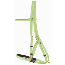 Bridão cabresto Biotack® T de T Verde Bridão cabresto Biotack® T de T Verde