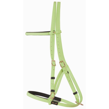 Bridão cabresto Biotack® T de T Verde Bridão cabresto Biotack® T de T Verde