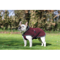 Capa para cão Show-Line Bucas Bordô / cinza Bord&amp;amp;amp;amp;amp;ocirc;