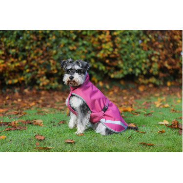 Capa para cão Bucas Freedom 50g Framboesa Vermelho Capa para cão Bucas Freedom 50g Framboesa Vermelho