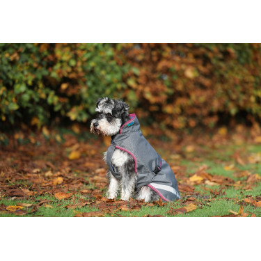 Capa para cão Bucas Freedom 50g Cinza fumê Cinzento Capa para cão Bucas Freedom 50g Cinza fumê Cinzento