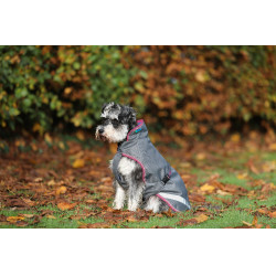 Capa para cão Bucas Freedom 300g Cinza fumê Cinzento