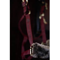 Halster Bucas Show-Line Bordô / preto Bord&amp;ocirc;