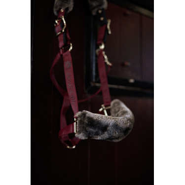 Halster Bucas Show-Line Bordô / preto Bord&amp;ocirc;