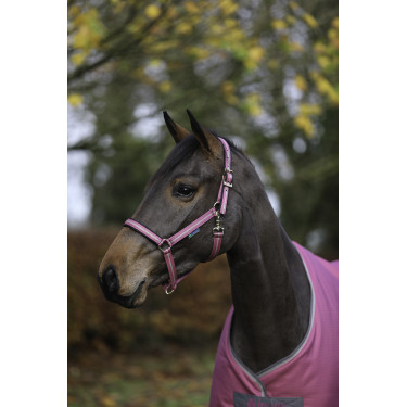 Caveção Bucas Dublin Framboesa Vermelho Caveção Bucas Dublin Framboesa Vermelho