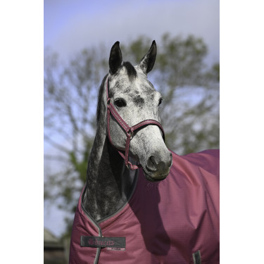 Caveção Bucas Dublin Framboesa Vermelho Caveção Bucas Dublin Framboesa Vermelho