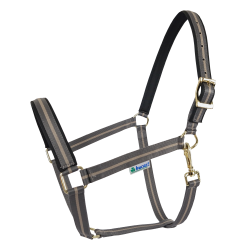 Caveção Bucas Dublin Cinza fumê Cinzento Caveção Bucas Dublin Cinza fumê Cinzento