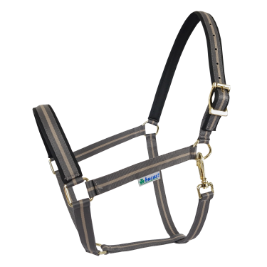 Caveção Bucas Dublin Cinza fumê Cinzento Caveção Bucas Dublin Cinza fumê Cinzento