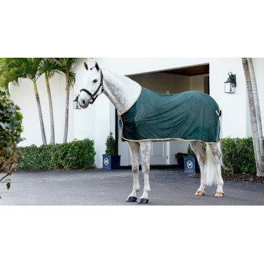 Camisa refrescante LeMieux Verde