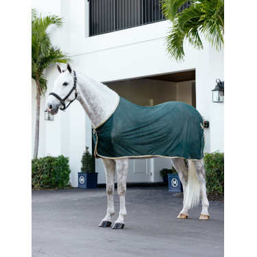 Camisa refrescante LeMieux Verde