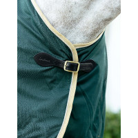 Camisa refrescante LeMieux Verde