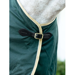 Camisa refrescante LeMieux Verde