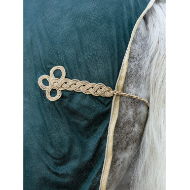 Camisa refrescante LeMieux Verde
