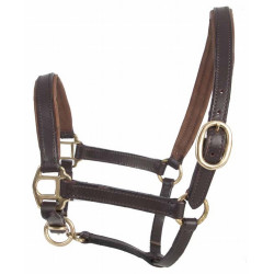 Cabresto para potro em couro T de T Cabresto para potro em couro T de T