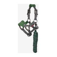 Cabeçada e guia Mini LeMieux Vogue Verde hunter Cabeçada e guia Mini LeMieux Vogue Verde hunter