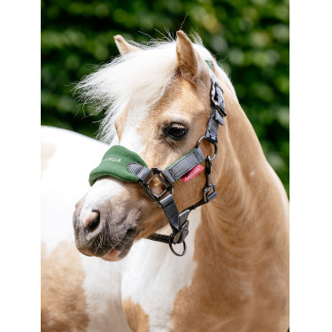 Cabeçada e guia Mini LeMieux Vogue Verde hunter Cabeçada e guia Mini LeMieux Vogue Verde hunter
