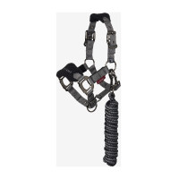 Cabeçada e guia Mini LeMieux Vogue Preto