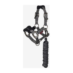 Cabeçada e guia Mini LeMieux Vogue Preto