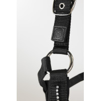 Cabeção e guia Harcour Amour Marinho Azul-marinho Cabeção e guia Harcour Amour Marinho Azul-marinho