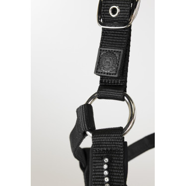 Cabeção e guia Harcour Amour Preto Cabeção e guia Harcour Amour Preto