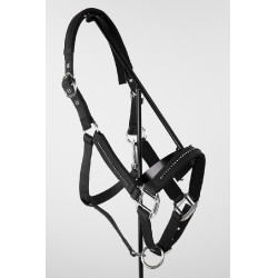 Cabeção e guia Harcour Amour Preto Cabeção e guia Harcour Amour Preto