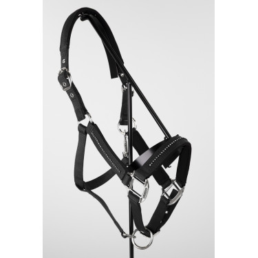 Cabeção e guia Harcour Amour Preto Cabeção e guia Harcour Amour Preto