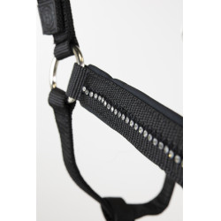 Cabeção e guia Harcour Amour Preto Cabeção e guia Harcour Amour Preto