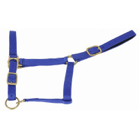 Cilha sintética forrada com camurça T de T Bege