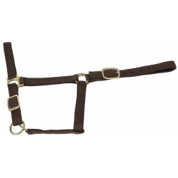 Cilha sintética forrada com camurça T de T Castanho escuro