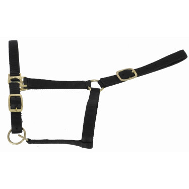 Cilha sintética forrada com camurça T de T Preto