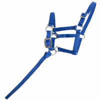 Cabresto potro sintético T de T Azul royal