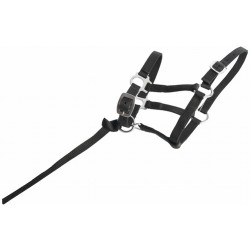 Cabresto potro sintético T de T Preto