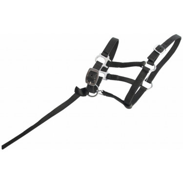 Cabresto potro sintético T de T Preto