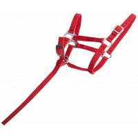 Cabresto potro sintético T de T Vermelho Cabresto potro sintético T de T Vermelho
