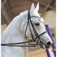 Bridão de dressage Ribera couro redondo T de T Preto
