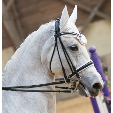 Bridão de dressage Ribera couro redondo T de T