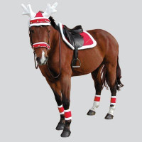 Touca de Natal com orelhas...