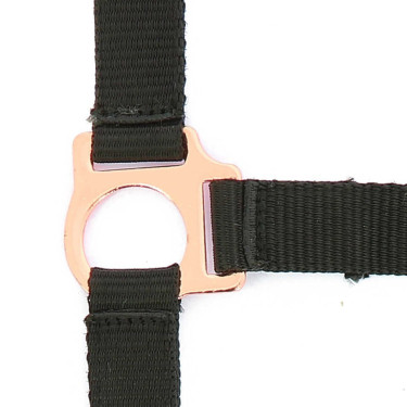 Cabezada + guia Norton Rose gold Preto